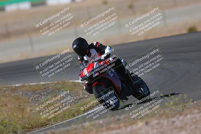 media/May-09-2022-Moto Forza (Mon) [[0226cf3505]]/Group B/B 920am/